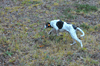 dsc_0018.jpg