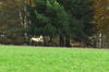dsc_0003.jpg