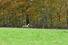 dsc_0004.jpg