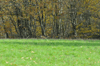 dsc_0005.jpg