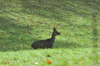 dsc_0007.jpg
