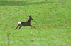 dsc_0010.jpg