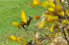 dsc_0011.jpg
