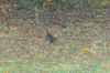 dsc_0012.jpg