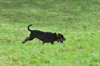 dsc_0014.jpg