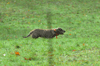 dsc_0015.jpg
