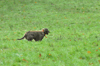 dsc_0016.jpg
