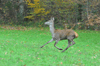 dsc_0020.jpg