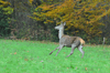 dsc_0021.jpg