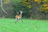 dsc_0023.jpg