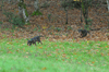 dsc_0027.jpg