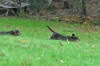dsc_0028.jpg
