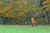 dsc_0029.jpg