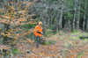 dsc_0005.jpg
