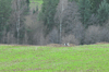 dsc_0010.jpg