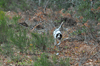 dsc_0011.jpg