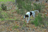 dsc_0012.jpg
