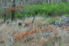 dsc_0015.jpg