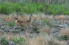 dsc_0016.jpg
