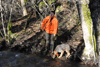 dsc_0009.jpg