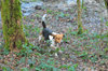 dsc_0018.jpg