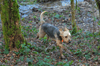 dsc_0019.jpg