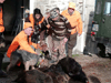 dsc_0025.jpg