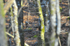 dsc_0002.jpg