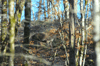 dsc_0004.jpg