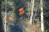 dsc_0014.jpg