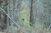 dsc_0015.jpg