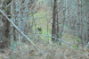 dsc_0016.jpg