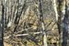 dsc_0001.jpg