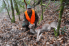 dsc_0035.jpg