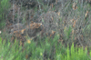 dsc_0040.jpg