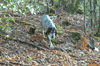 dsc_0045.jpg