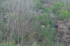 dsc_0047.jpg