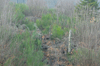 dsc_0050.jpg