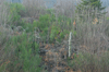 dsc_0051.jpg