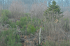 dsc_0052.jpg