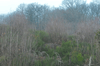 dsc_0053.jpg