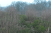 dsc_0054.jpg