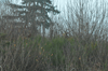 dsc_0055.jpg