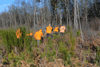 dsc_0027.jpg