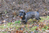 dsc_0015.jpg
