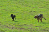dsc_0005.jpg