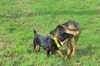 dsc_0006.jpg