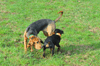 dsc_0007.jpg