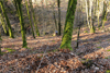 dsc_0012.jpg