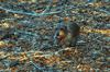 dsc_0039.jpg